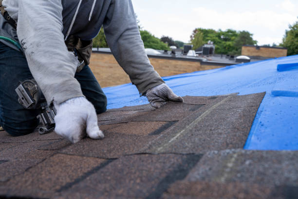 Best Commercial Roofing Services  in Berne, IN