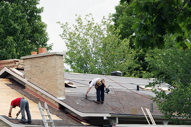 Best Roof Gutter Cleaning  in Berne, IN